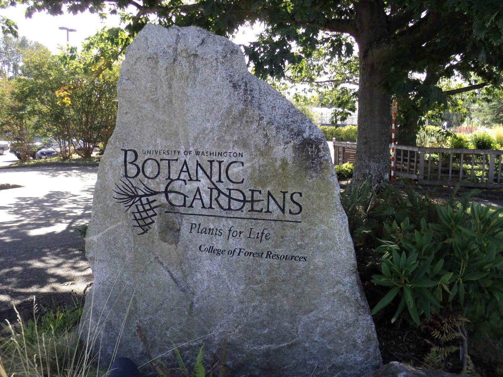 University of Washington Botanic Gardens